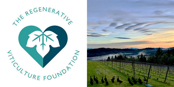 Regenerative Viticulture Foundation