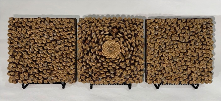 an image of art with 3 panels depicting pinecones and pinecone pieces - "Pine Triptych #1" by Courtney Hart