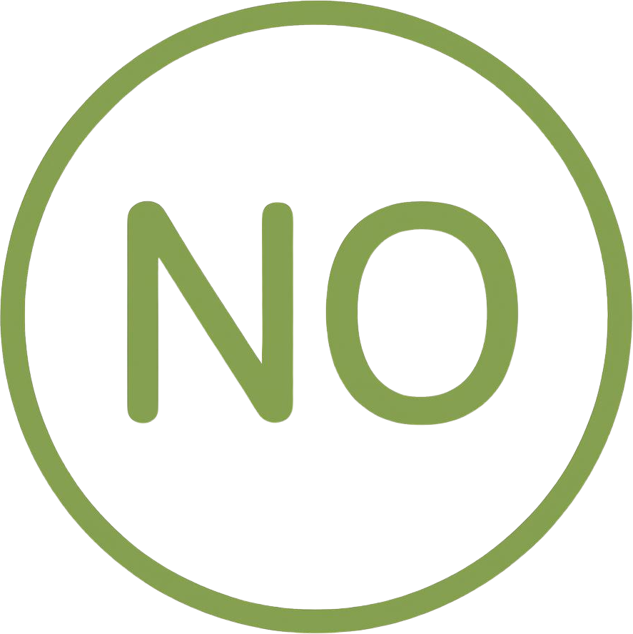 NO 