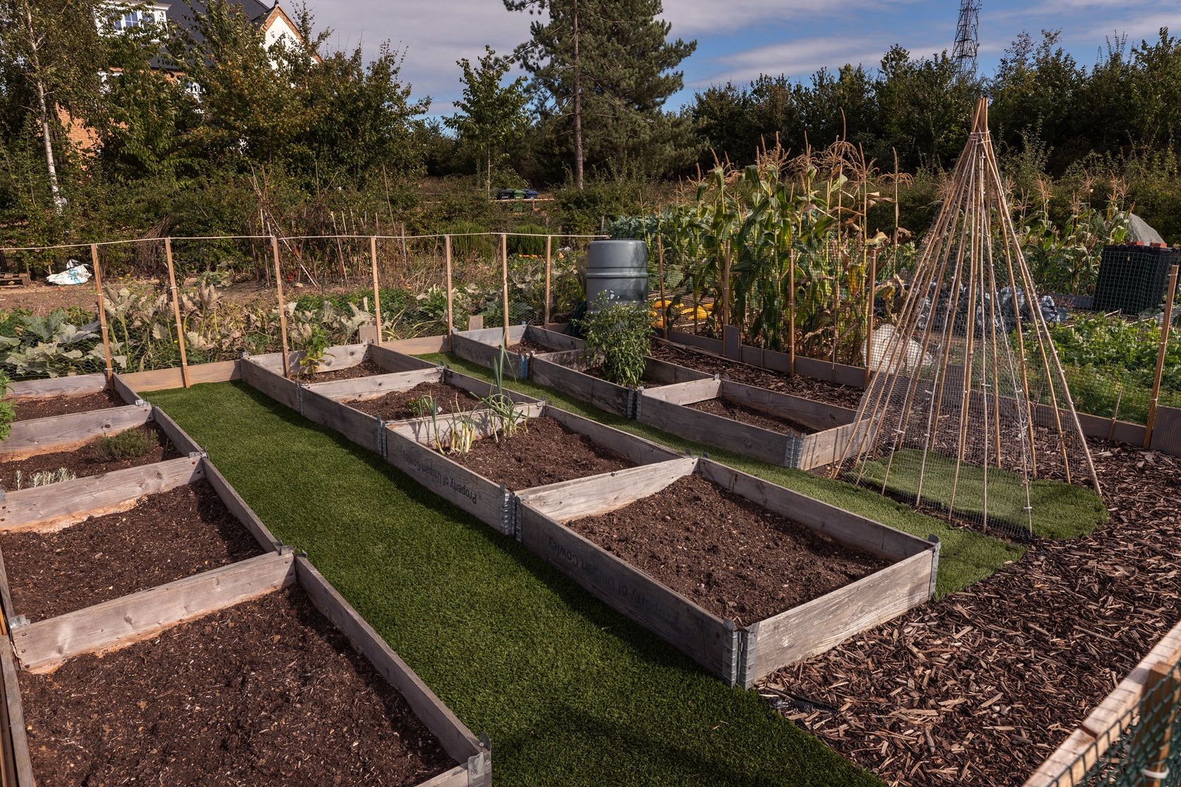  Allotments & community orchard 