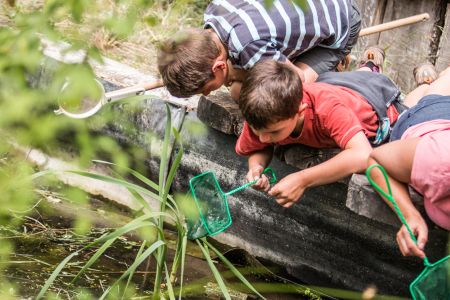 Enfants observant sur un ponton
