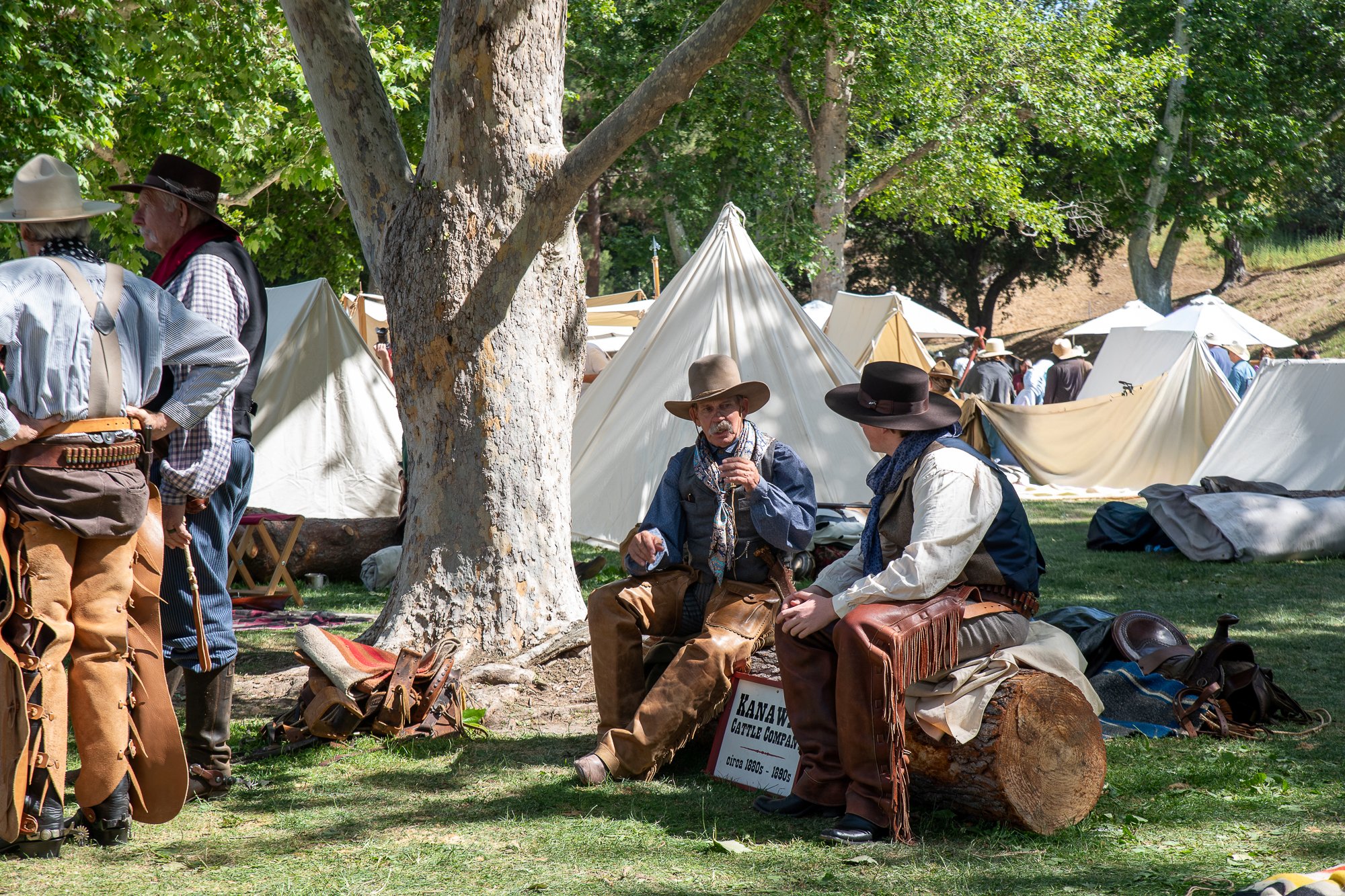 Cowboy Festival by Ellen Zuckerman