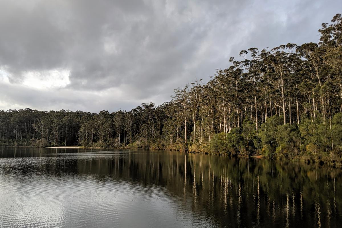 Big Brook Dam (Source: Department of Biodiversity Conservation and Attractions)
