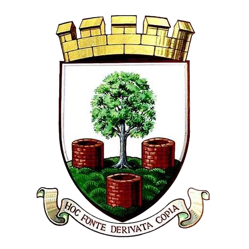 Wells City Council Logo