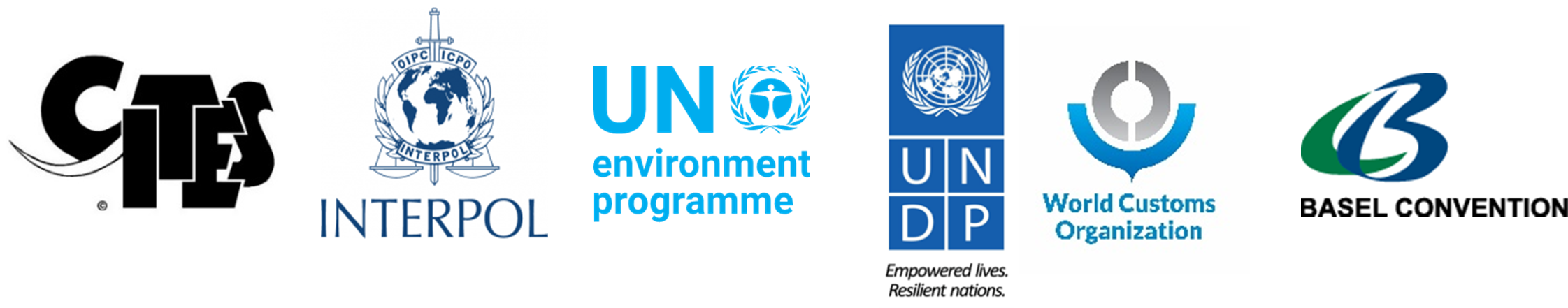 <div>In partnership with</div>