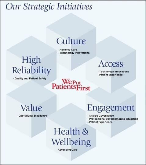 <span style="color: #000000;"><strong>NYP Strategic Priorities      (Please click "OK" below the graphic to continue)</strong></span>