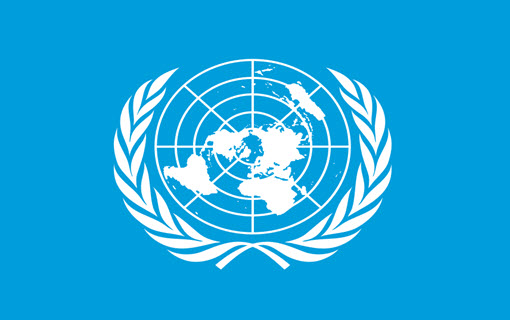  Agencije UN-a (npr. UNDP) 