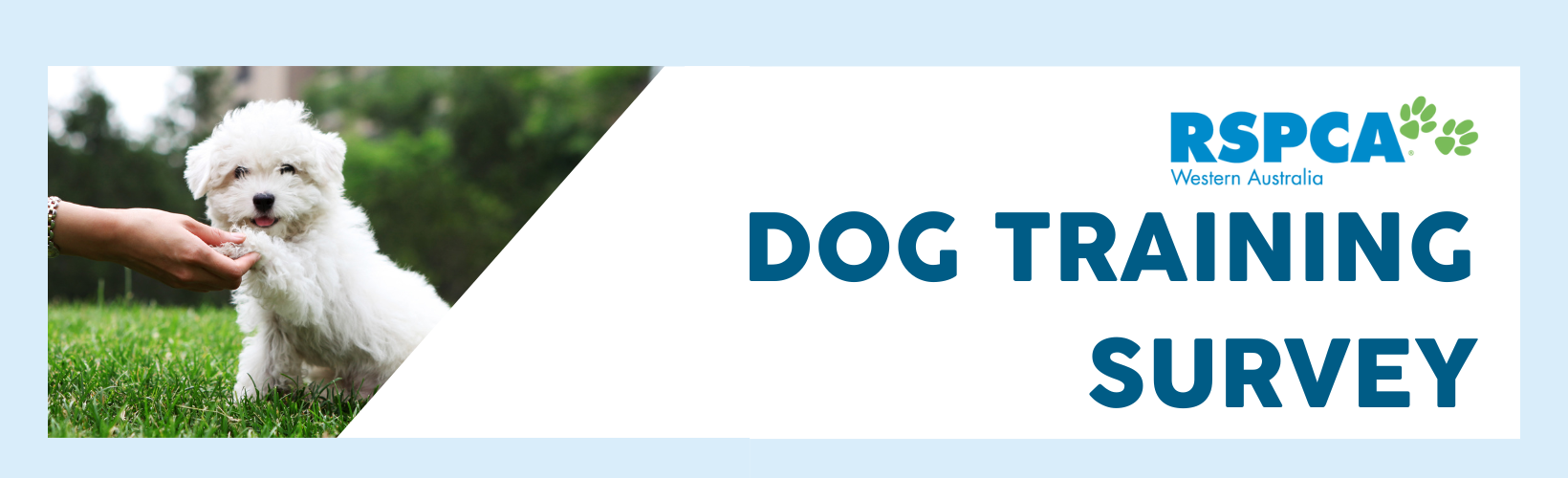 Dog Training Survey
