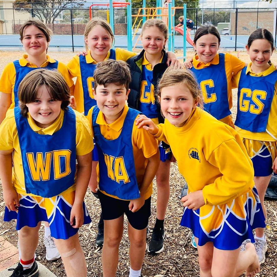 Mornington Netball Club Adults Survey