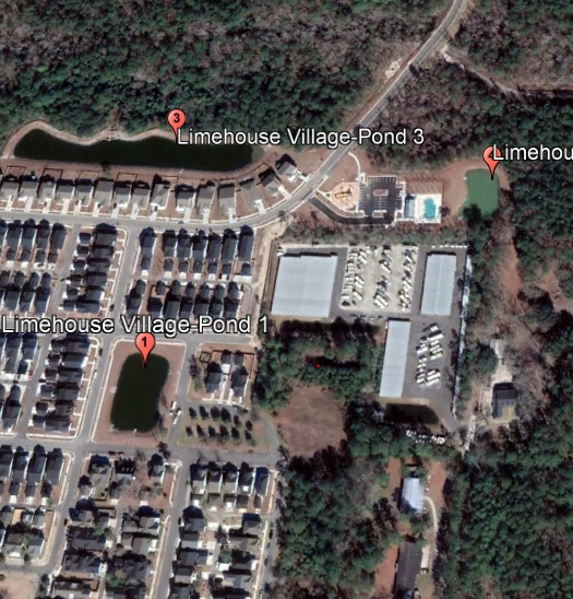 Limehouse Village Community Enhancements Survey