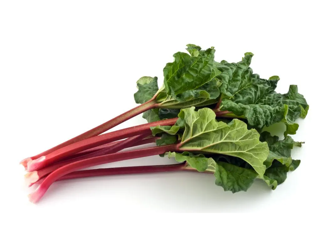  Rhubarb 