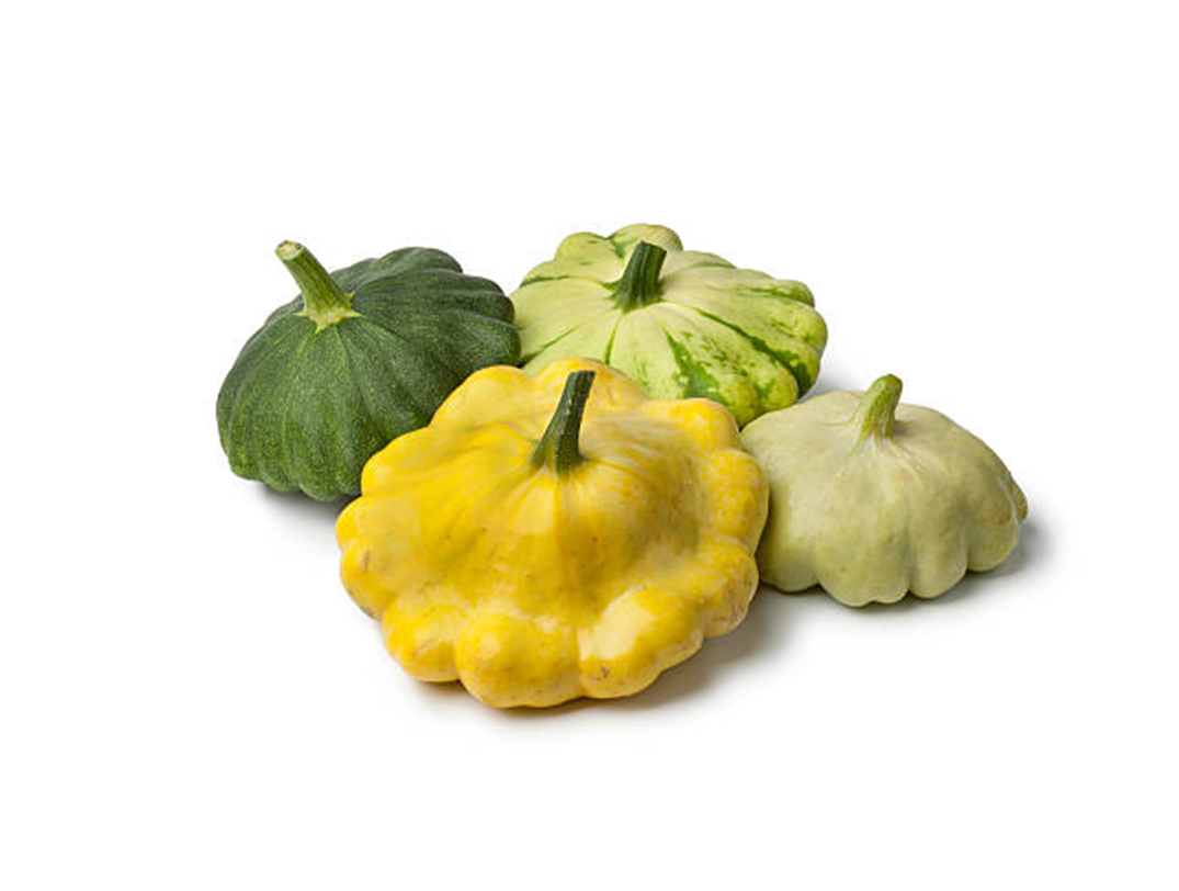  Summer Squash 