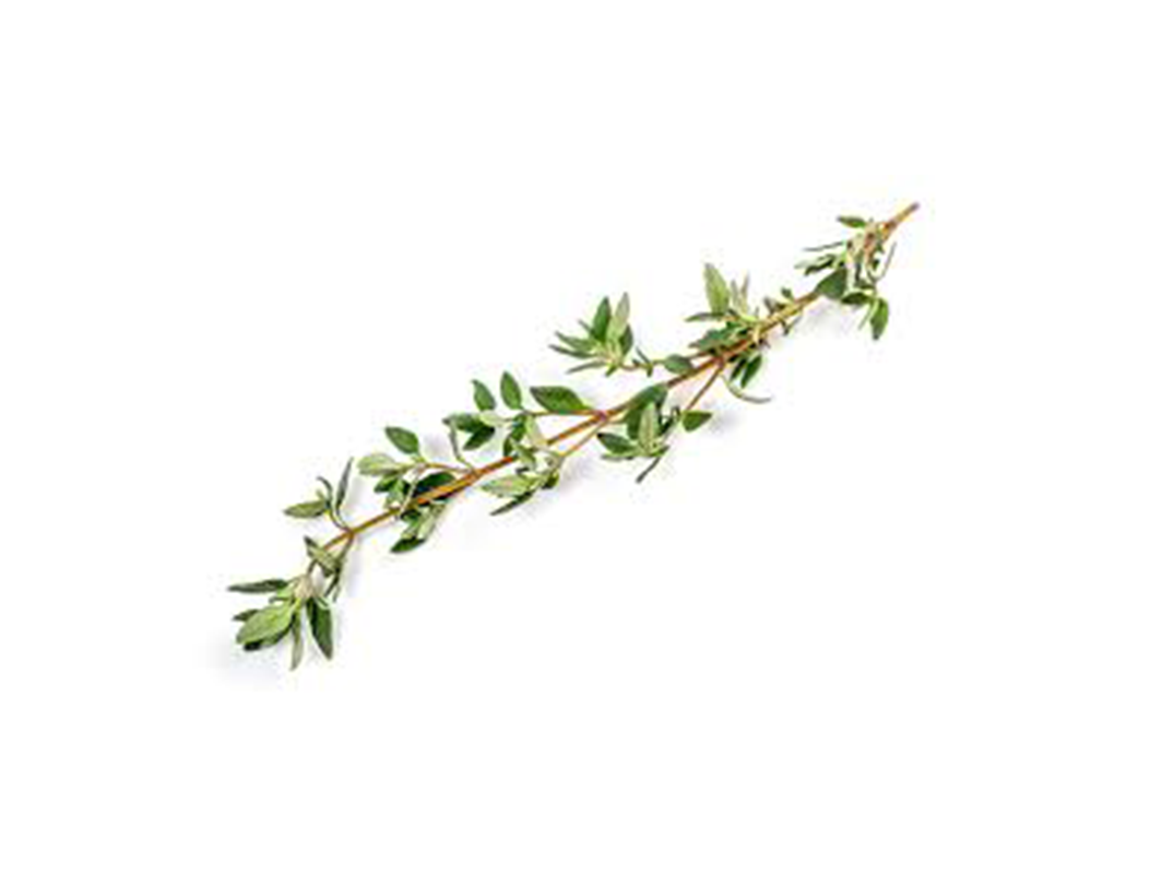  Thyme 