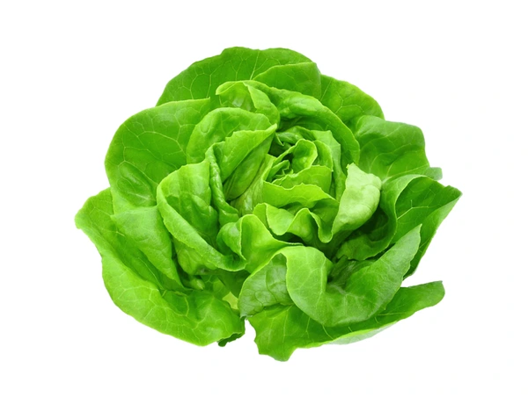  Head Lettuce 