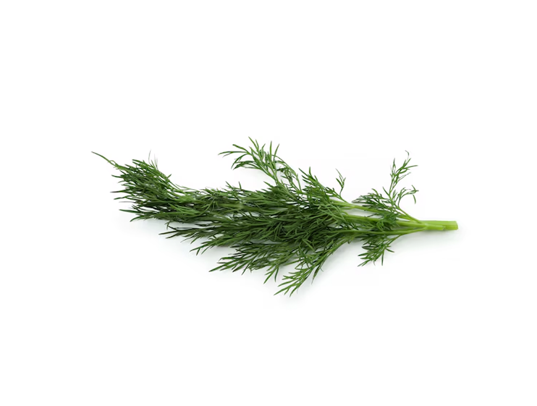  Dill 