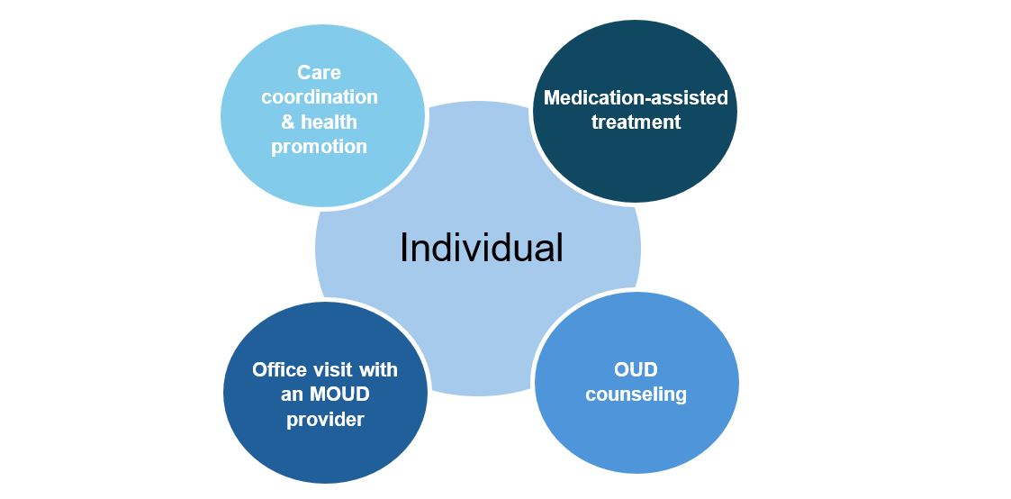 <strong><span style="font-size: 18pt;">OHH Care Model</span></strong>