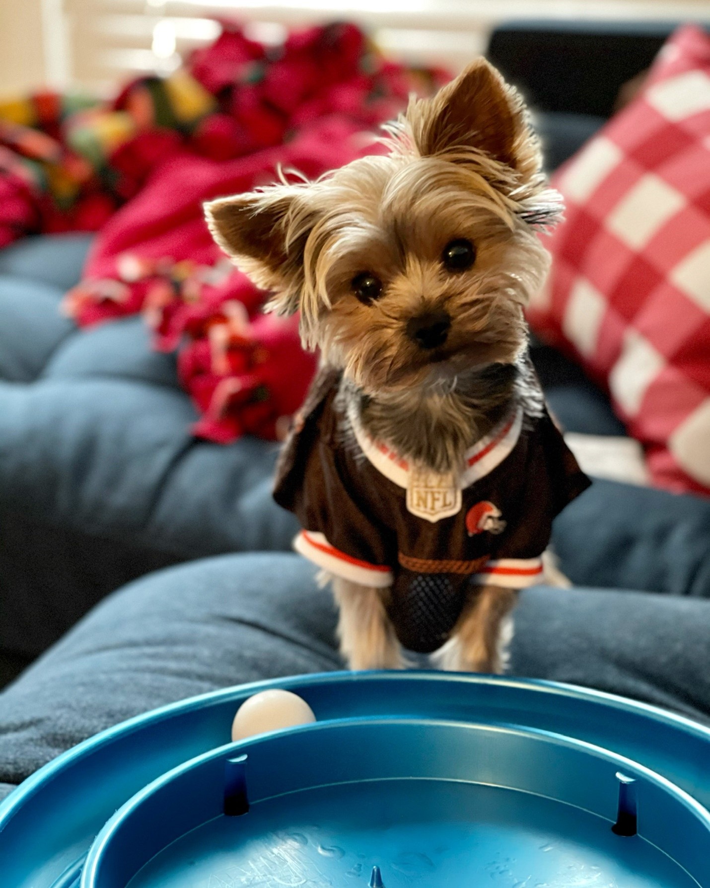 Zander Woofsen