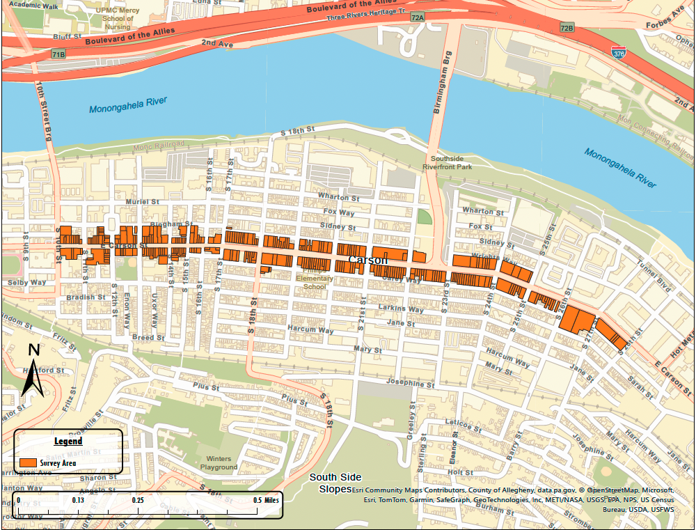 East Carson Street Business and Property Owner Survey Area