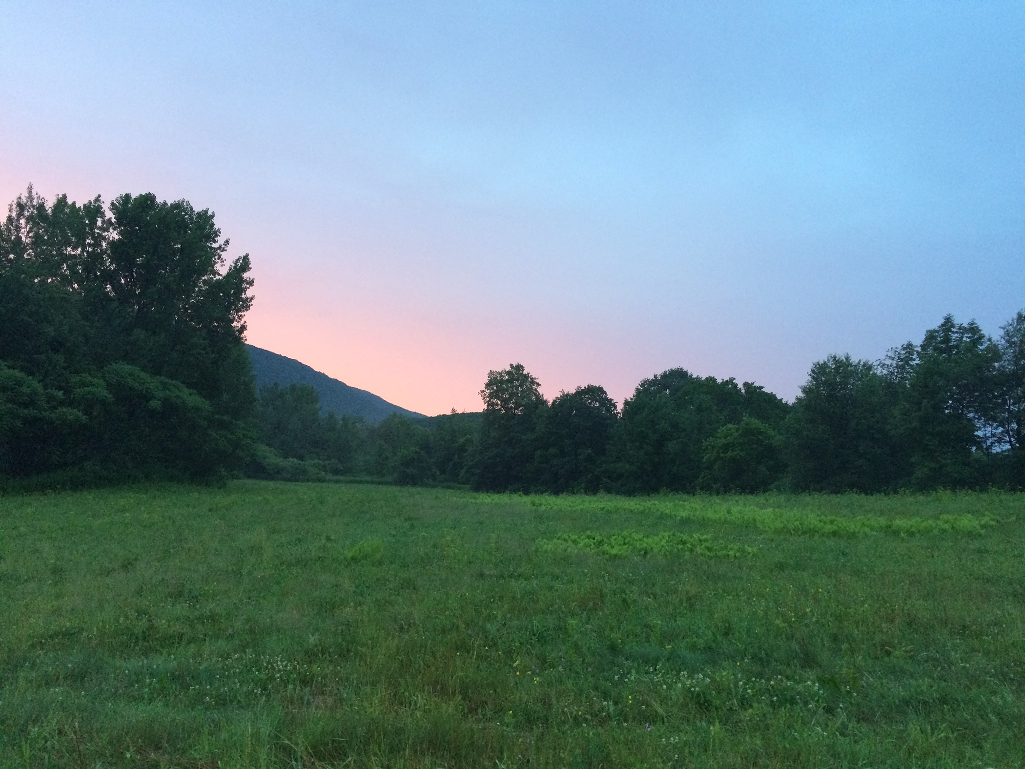 Meadow Loop at the Glen.  Photo credit: Eugene Michalenko