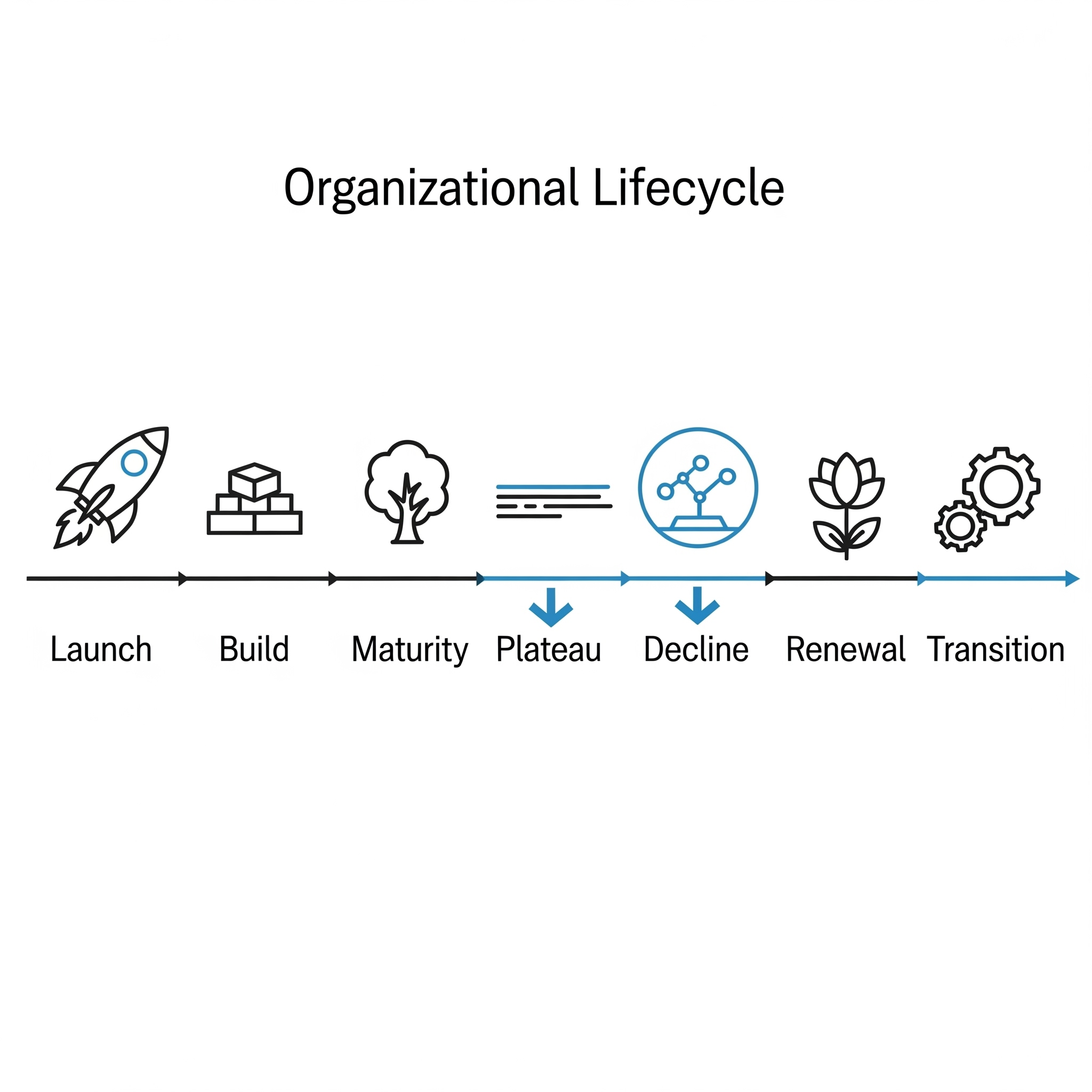 Organizational Lifecycle