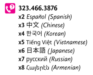 Numbers for language translation services