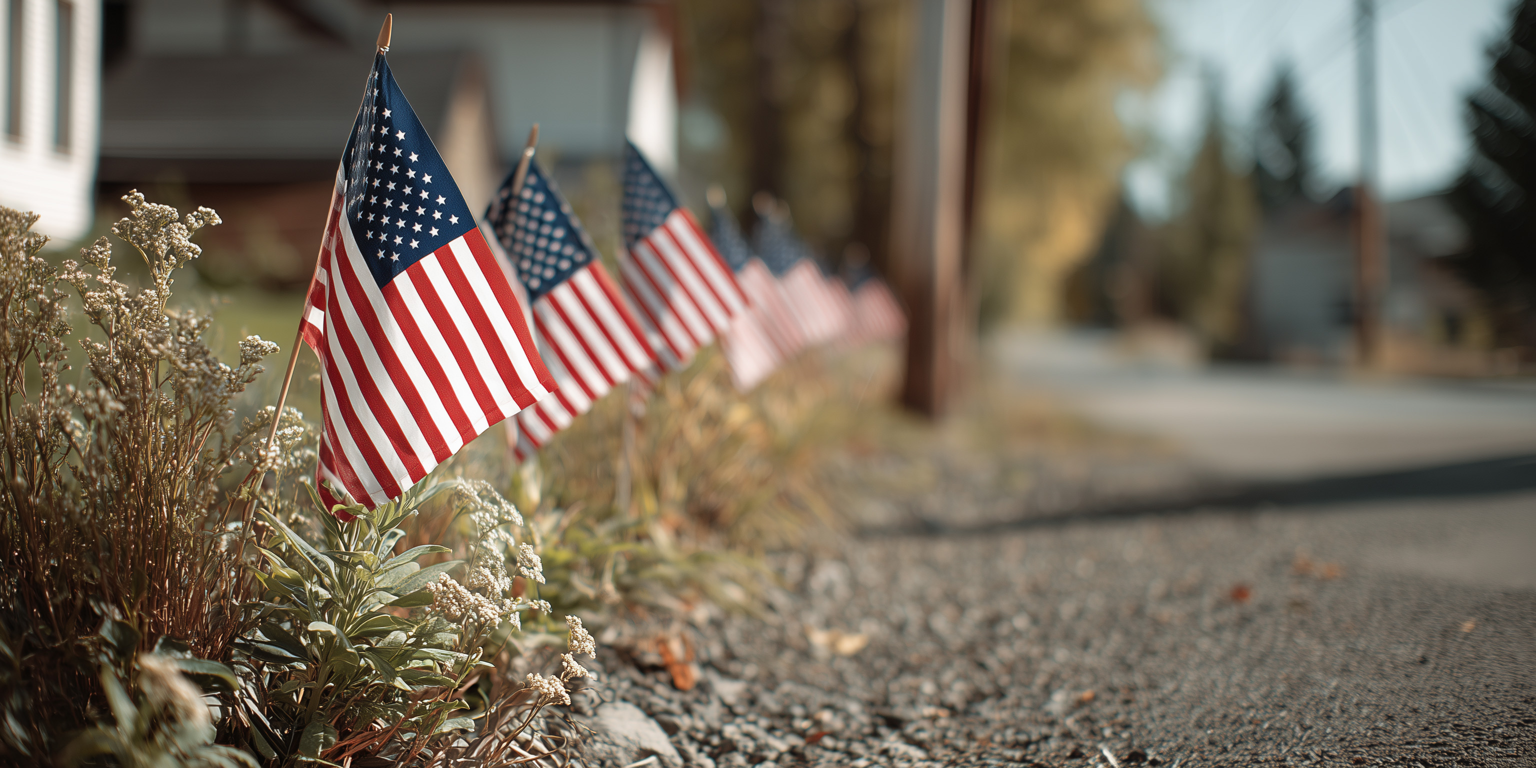 Flags lining the street