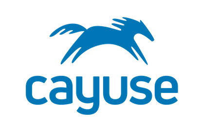 Stylized pony over the word 'Cayuse'