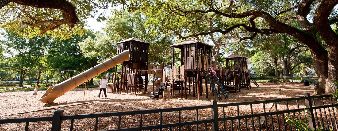  Natural Based Play Structure 