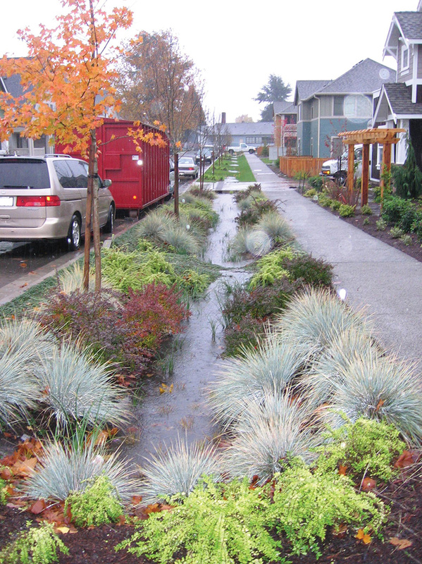  Plantings to assist with stormwater capture 