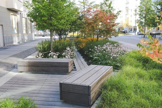  A pedestrian-focused sidewalk with benches, trees, and plantings 