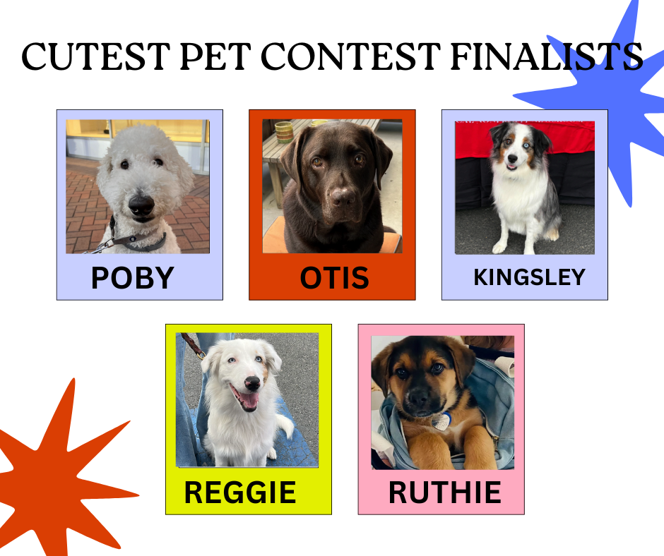 Check out the finalists below: