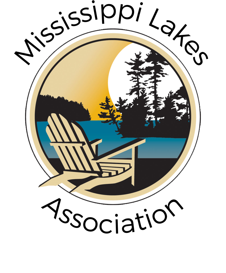 MLA logo of muskoka chair with water and trees