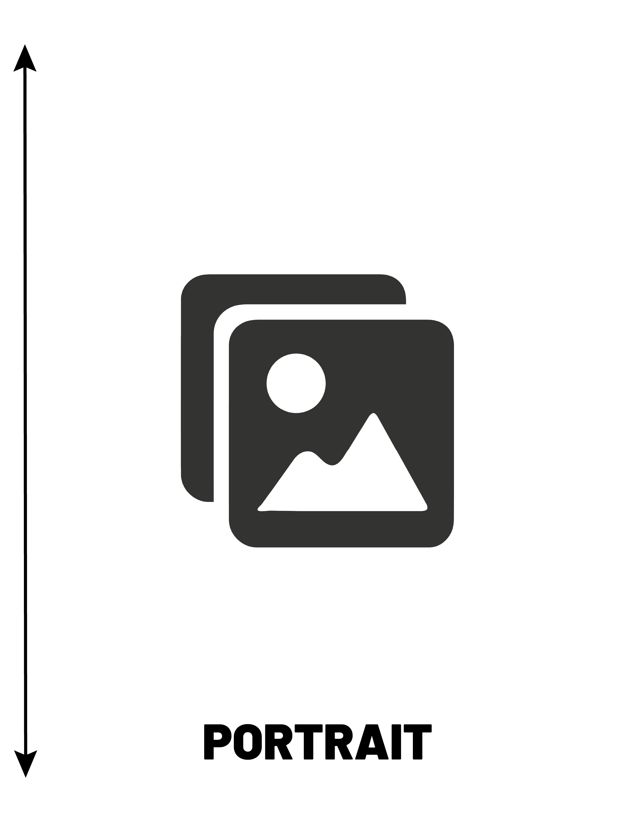 Portrait Description