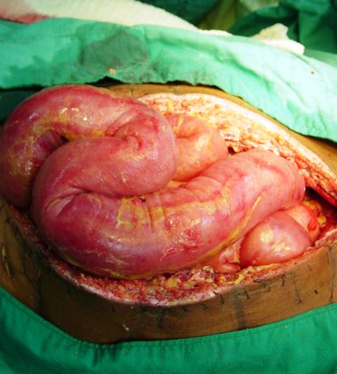 En relaci&oacute;n a la siguiente imagen (imagen 6)