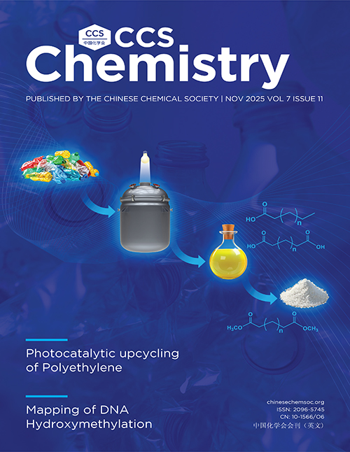 <strong>Cover of Volume 7 Issue 11</strong>