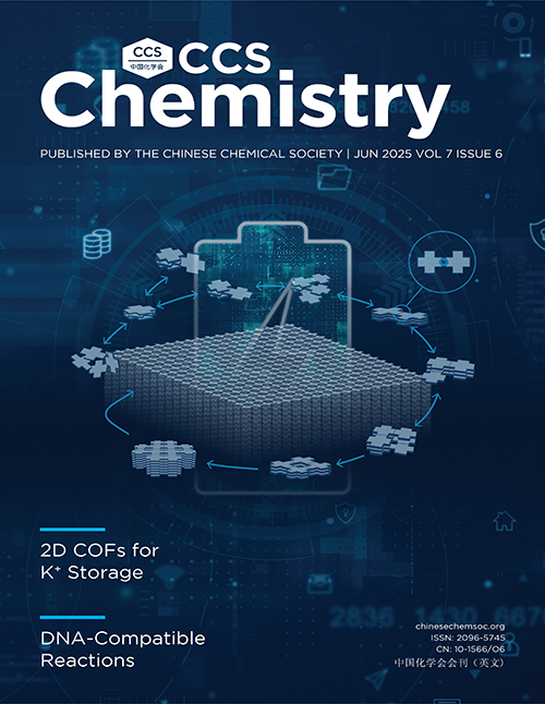 <strong>Cover of Volume 7 Issue 6</strong>