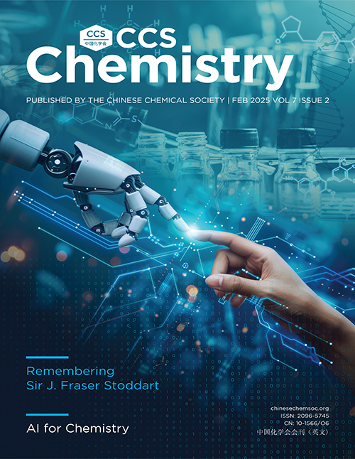 <strong>Cover of Volume 7 Issue 2</strong>