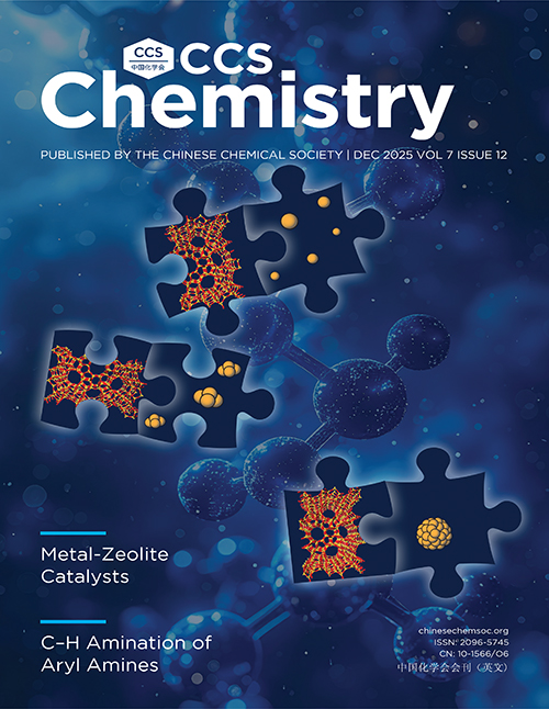 <strong>Cover of Volume 7 Issue 12</strong>