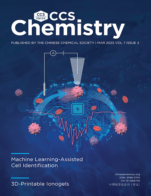 <strong>Cover of Volume 7 Issue 3</strong>