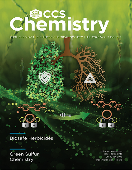 <strong>Cover of Volume 7 Issue 7</strong>