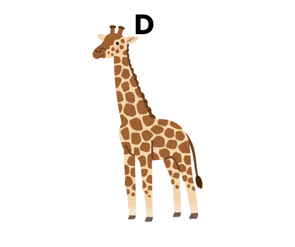  A giraffe  