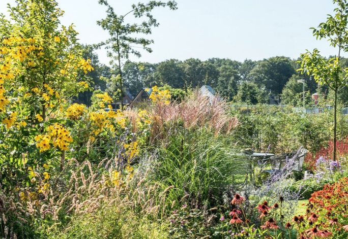  Kleurrijk en speels 