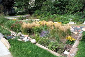 Rain garden