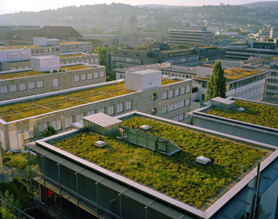 Green roof
