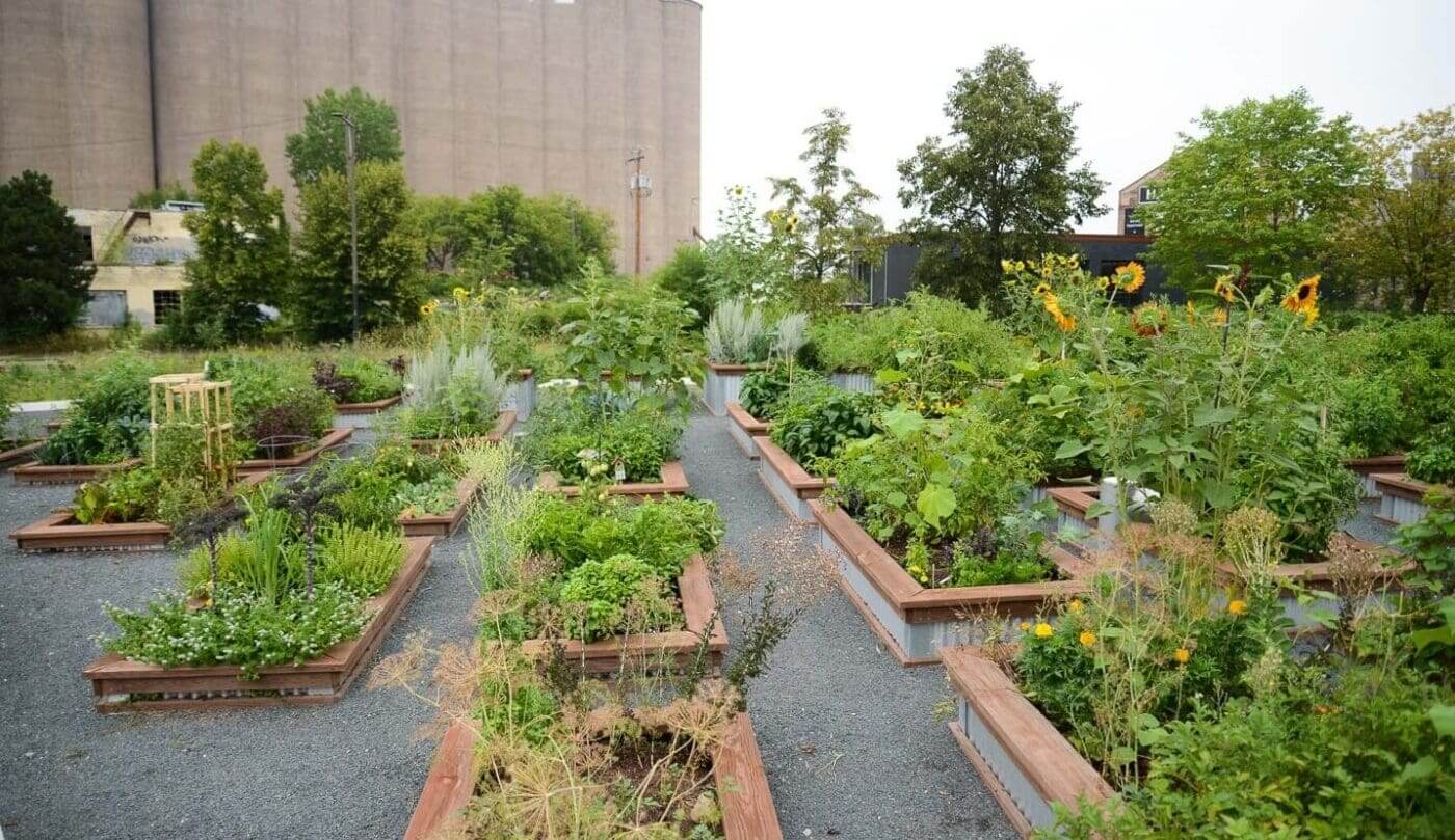  Community Gardening 