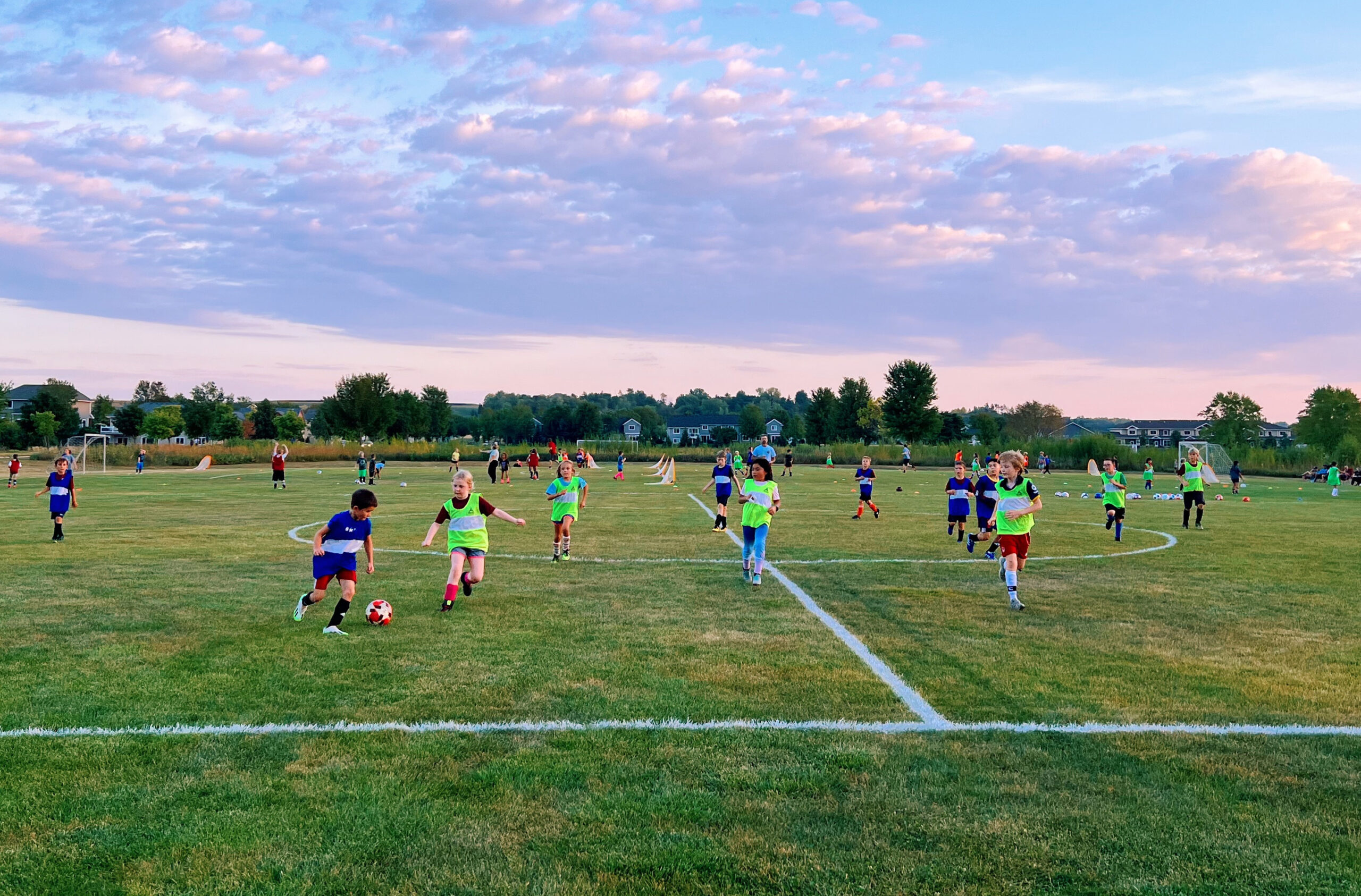  Multiuse Field Updates 
