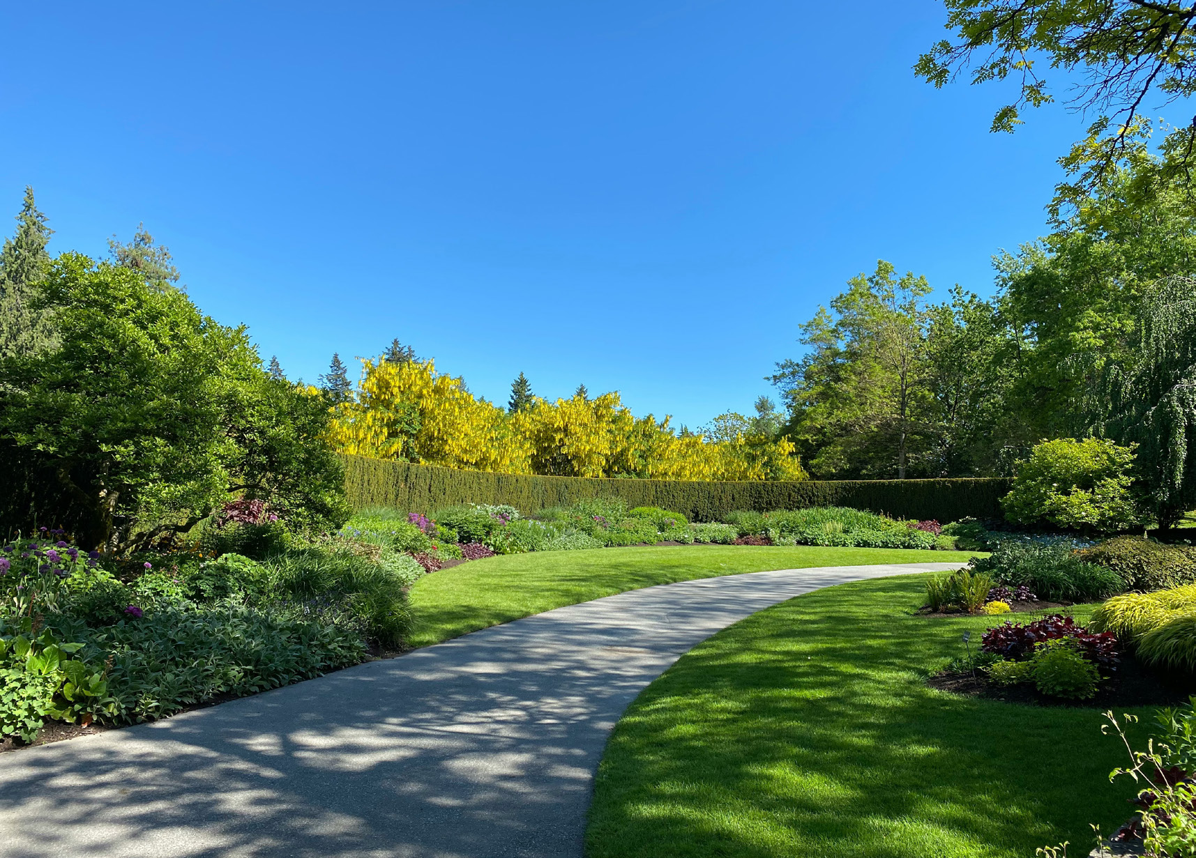 A park with green and golden trees and a winding grey path.