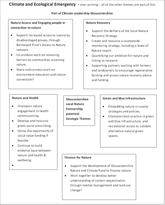 Draft LNP strategy themes