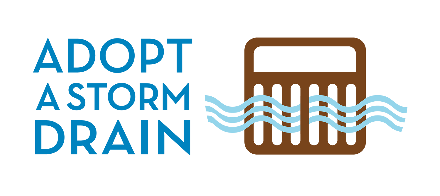 Adopt a storm drain