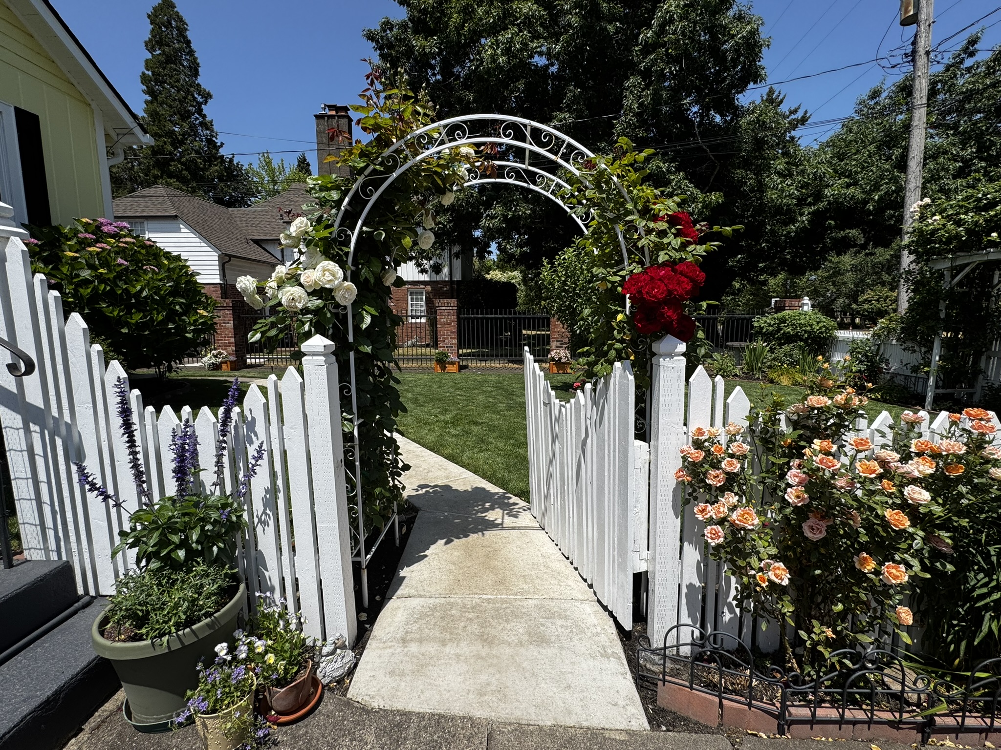 white fence with a metal arch flanked by plants and flowers